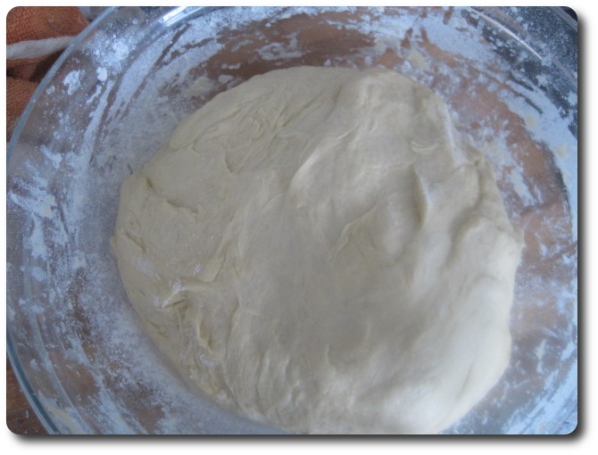 Al final, dejamos la masa reposar en un bol cubierta con un paño por espacio de 1 hora, más o menos.